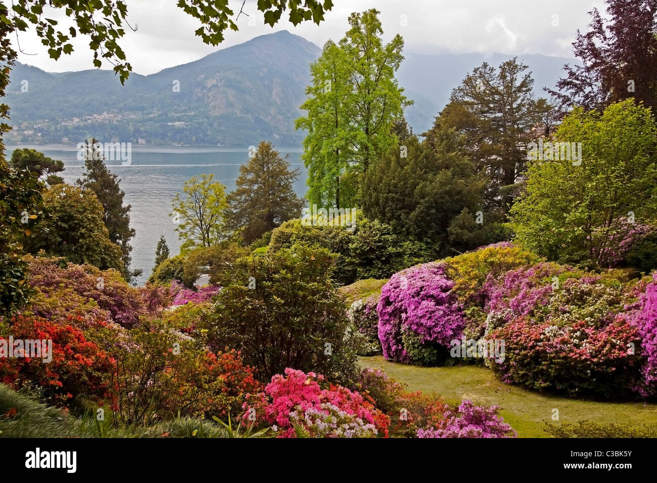 Villa Carlotta Und der Berühmte Botanische Garten Stockfoto