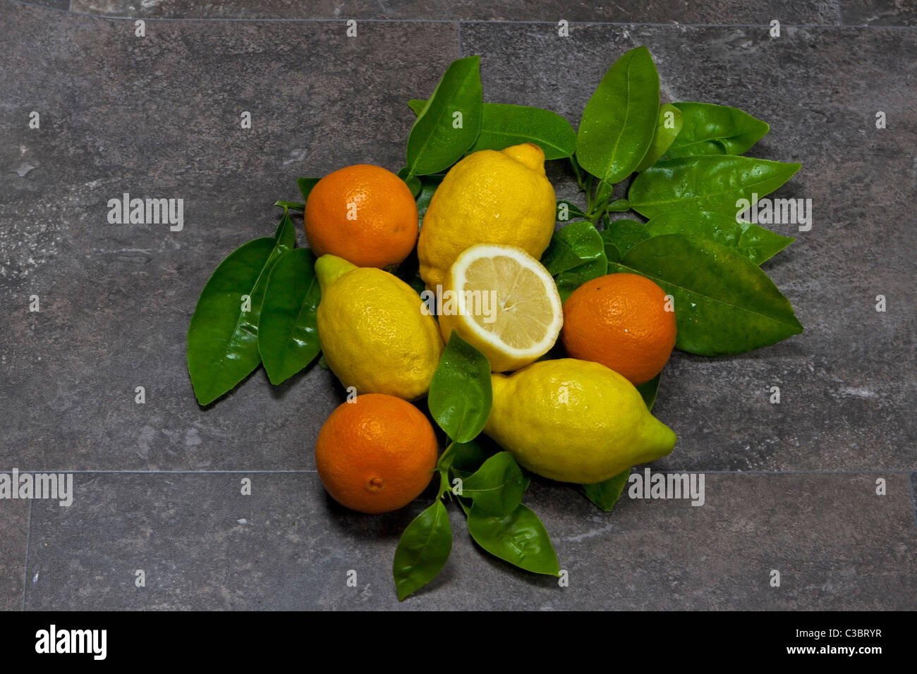 Orangen und Zitronen mit Blättern Stockfoto