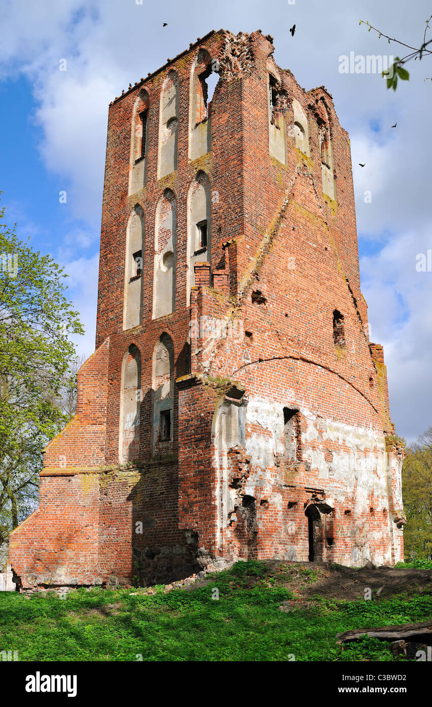 Ruinen der Brandenburger Kirche in Ushakovo, Oblast Kaliningrad Stockfoto