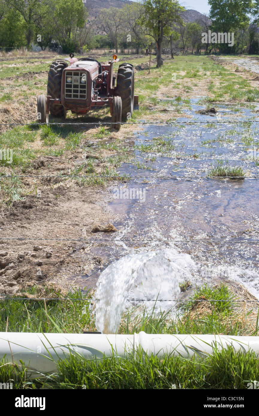 Wasser für die Landwirtschaft und Viehzucht ist ein kostbares gut in Hondo Valley, New Mexico. Stockfoto