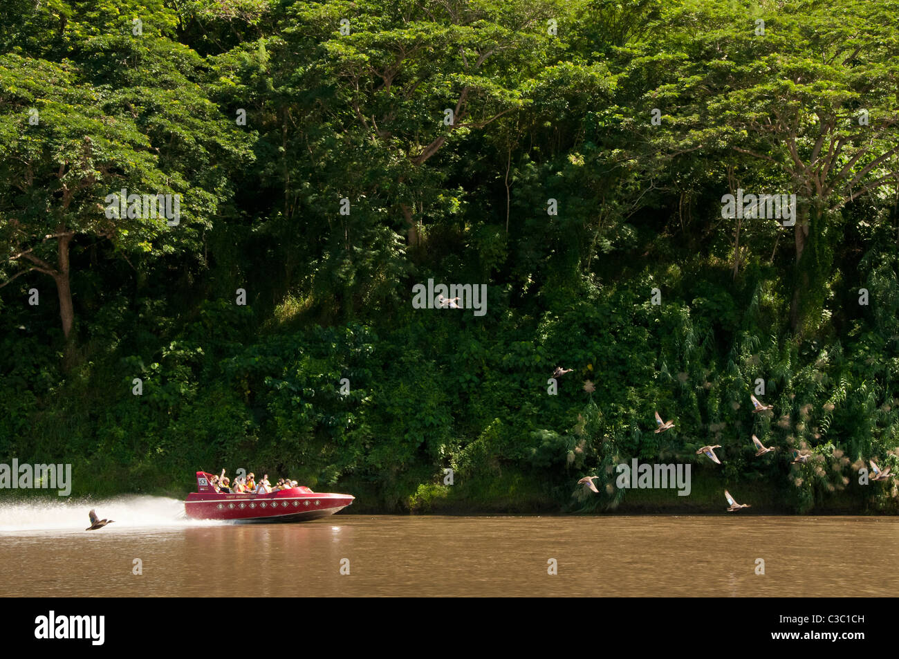 Sigatoka River Safari Jetboat-Tour, Insel Viti Levu, Fidschi-Inseln. Stockfoto