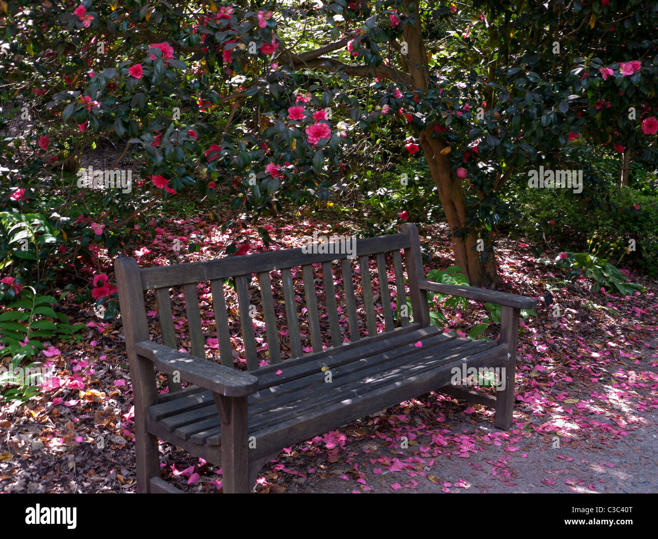 Eine Bank in den Gärten der Royal Horticultural Society in Wisley, UK Stockfoto