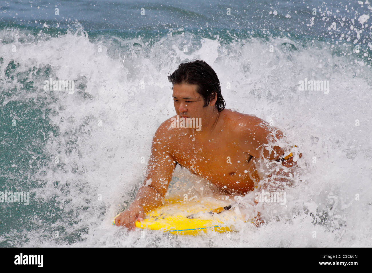 Boogie Boarder auf einer Welle aus Kapahulu Leiste-Waikiki, Oahu, USA. Stockfoto