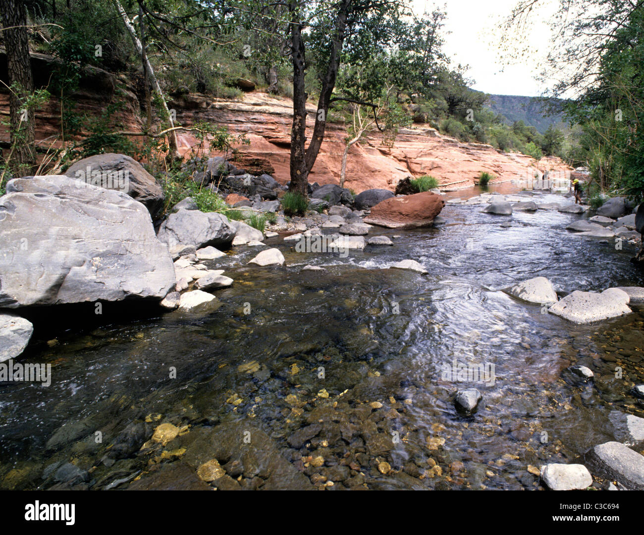 Ruhigen Stream Flut in Minuten, Arizona USA blinkt Siehe zweites Bild C3C697 Stockfoto