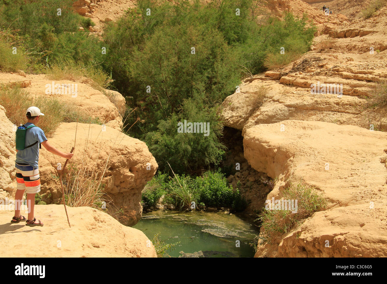 Israel, Nahal Arugot in der Judäischen Wüste Stockfoto