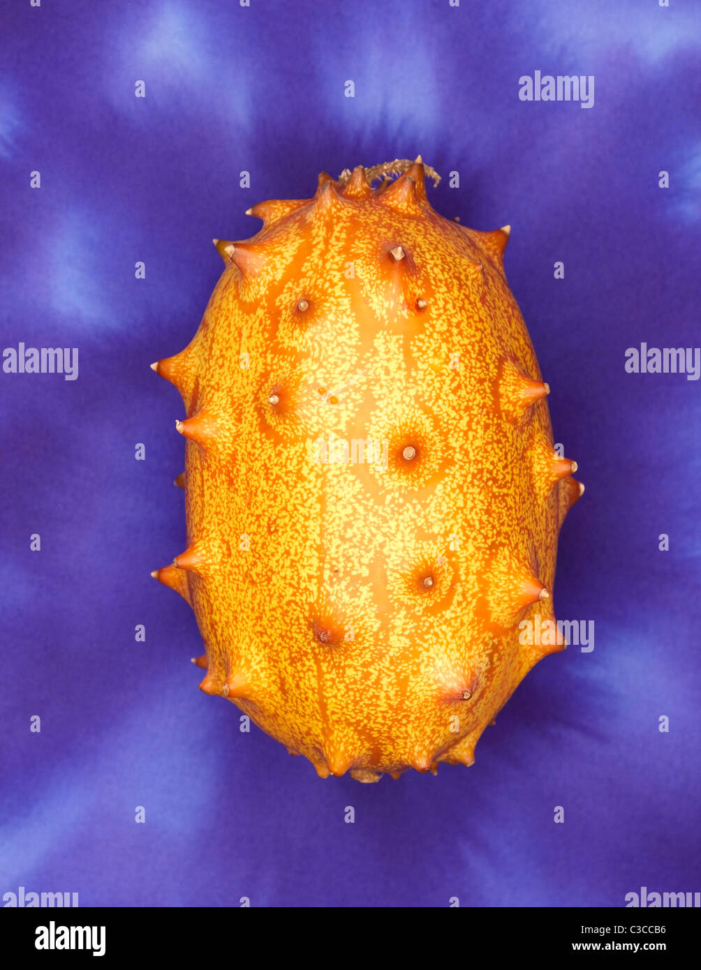 Kiwano Obst Stockfoto