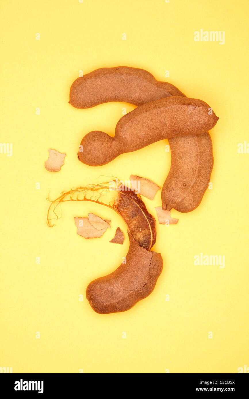 Tamarind Stockfoto