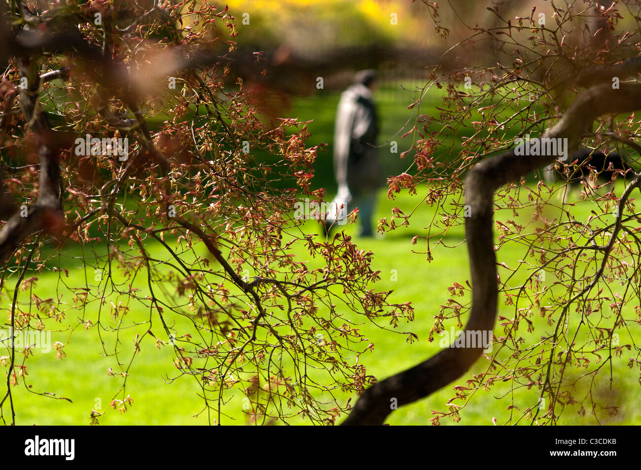 Mann zu Fuß Hund, soft-Fokus. Stockfoto