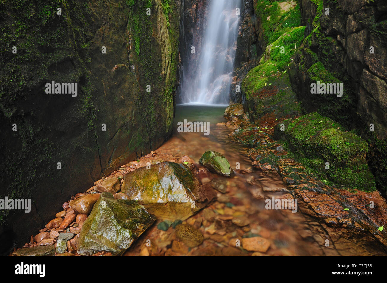 Schmale Schlucht von Scale Force Wasserfall zwischen Buttermere und Crummock Wasser im englischen Lake District Stockfoto