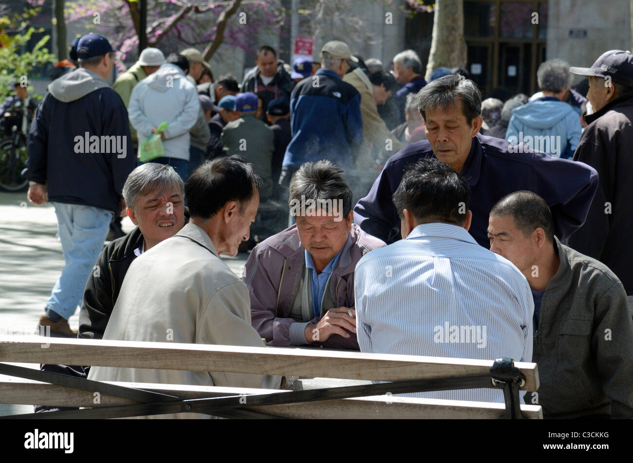 Asiatische Männer Spielkarten in Chinatown in New York City. Stockfoto