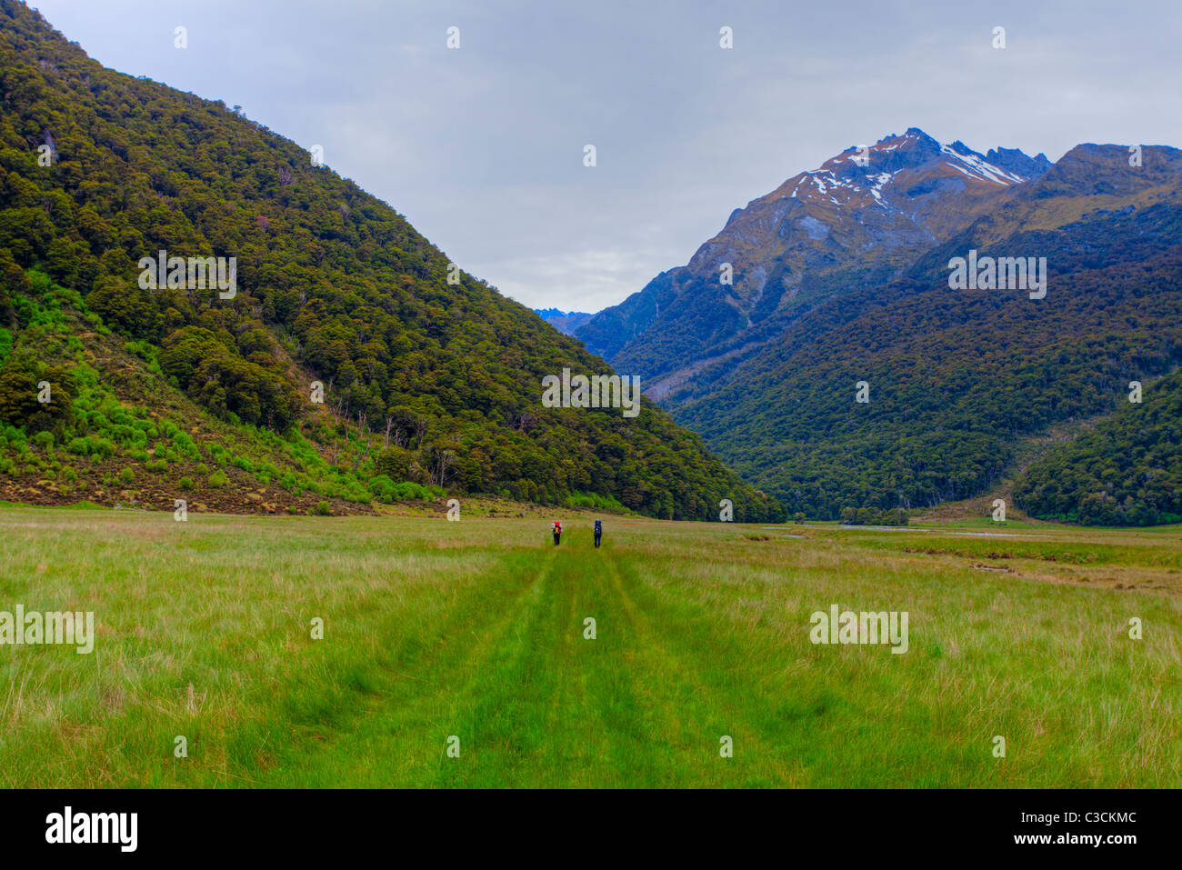 Wandern in den Bergen von New Zealand Stockfoto