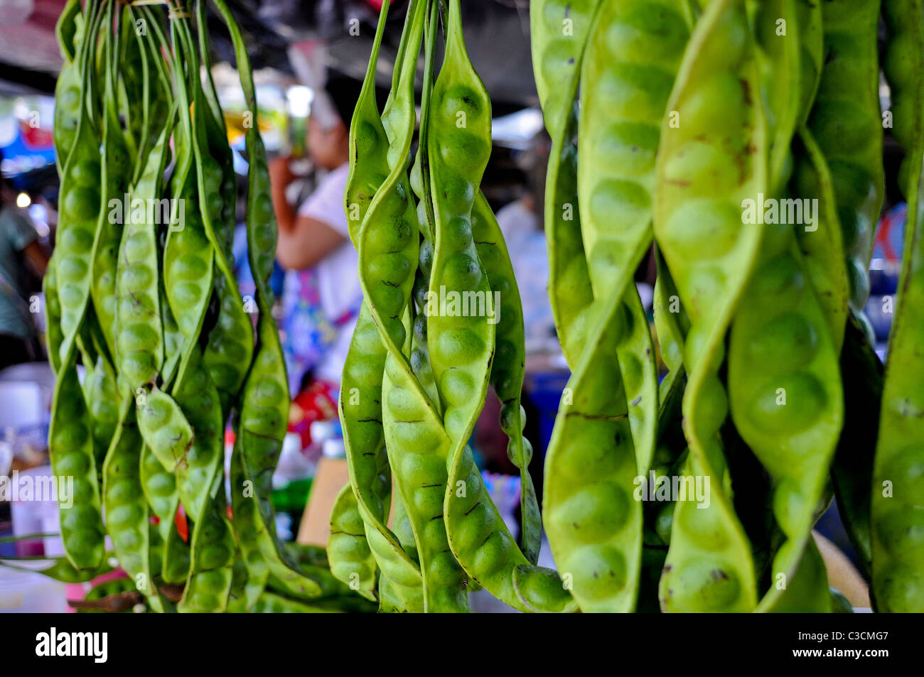 Riesige verdrehten Erbsenschoten hängen in einem tropischen Marktstand.  Ein gutes Beispiel für die Reifen lebendig und exotische Früchte in Südost-Asien. Stockfoto
