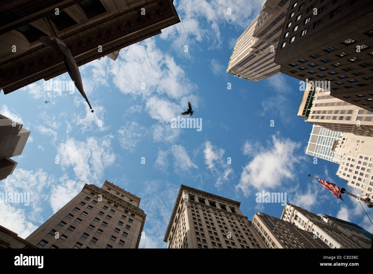 Ein Vogel fliegt zwischen hohen Gebäuden außerhalb der New Yorker Börse befindet, Financial District, New York, USA. Stockfoto