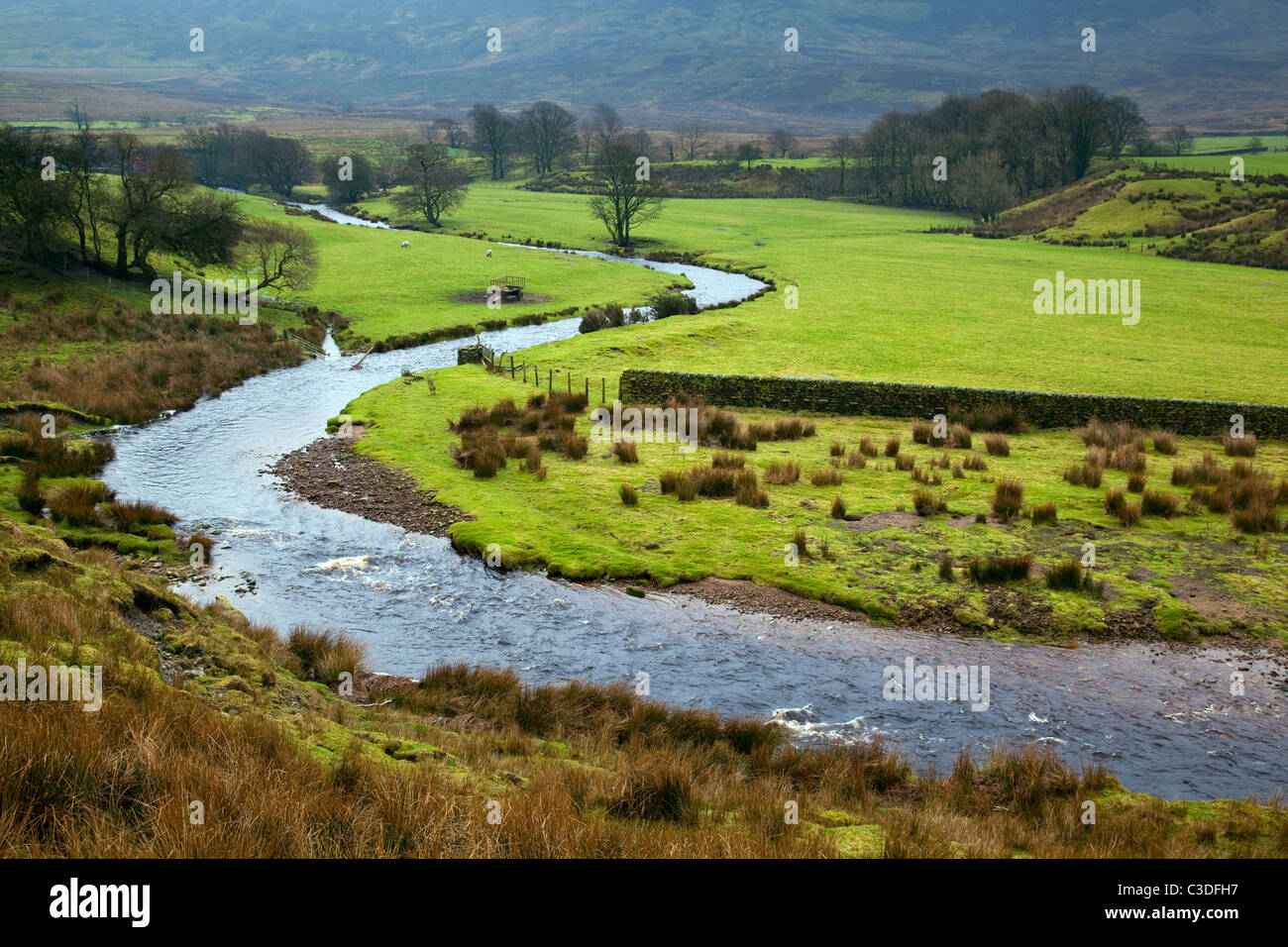 Der Fluß Wyre fließt durch den Wald von Bowland, Lancashire Stockfoto