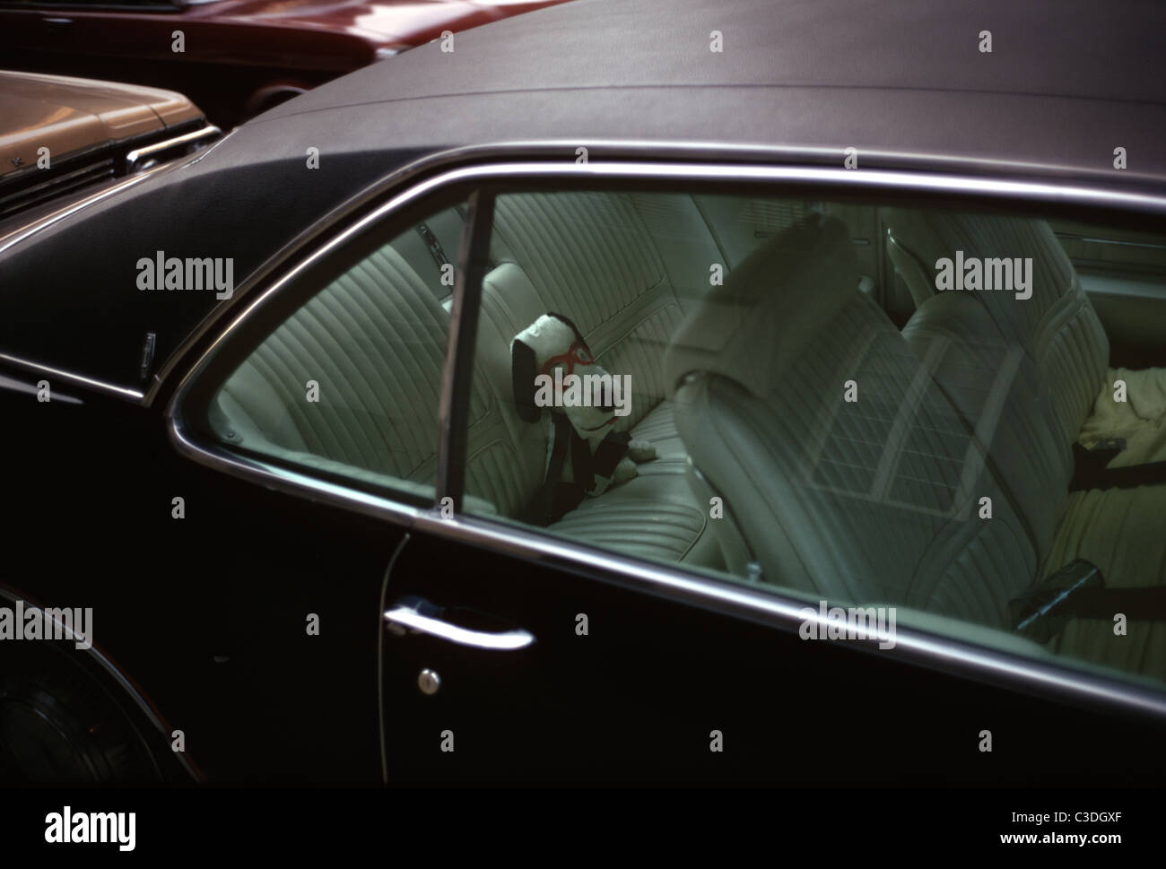 Spielzeughund hinter Limousine Auto, Manhattan, New York City, USA Stockfoto