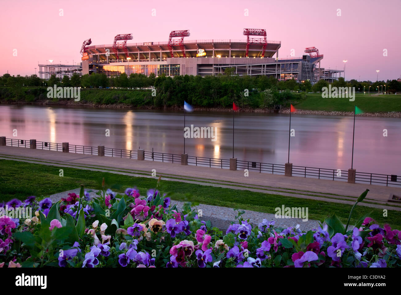 Stiefmütterchen blühen über den Cumberland River von Nissan Stadium - Heim der Tennessee Titans NFL Team Nashville, USA Stockfoto