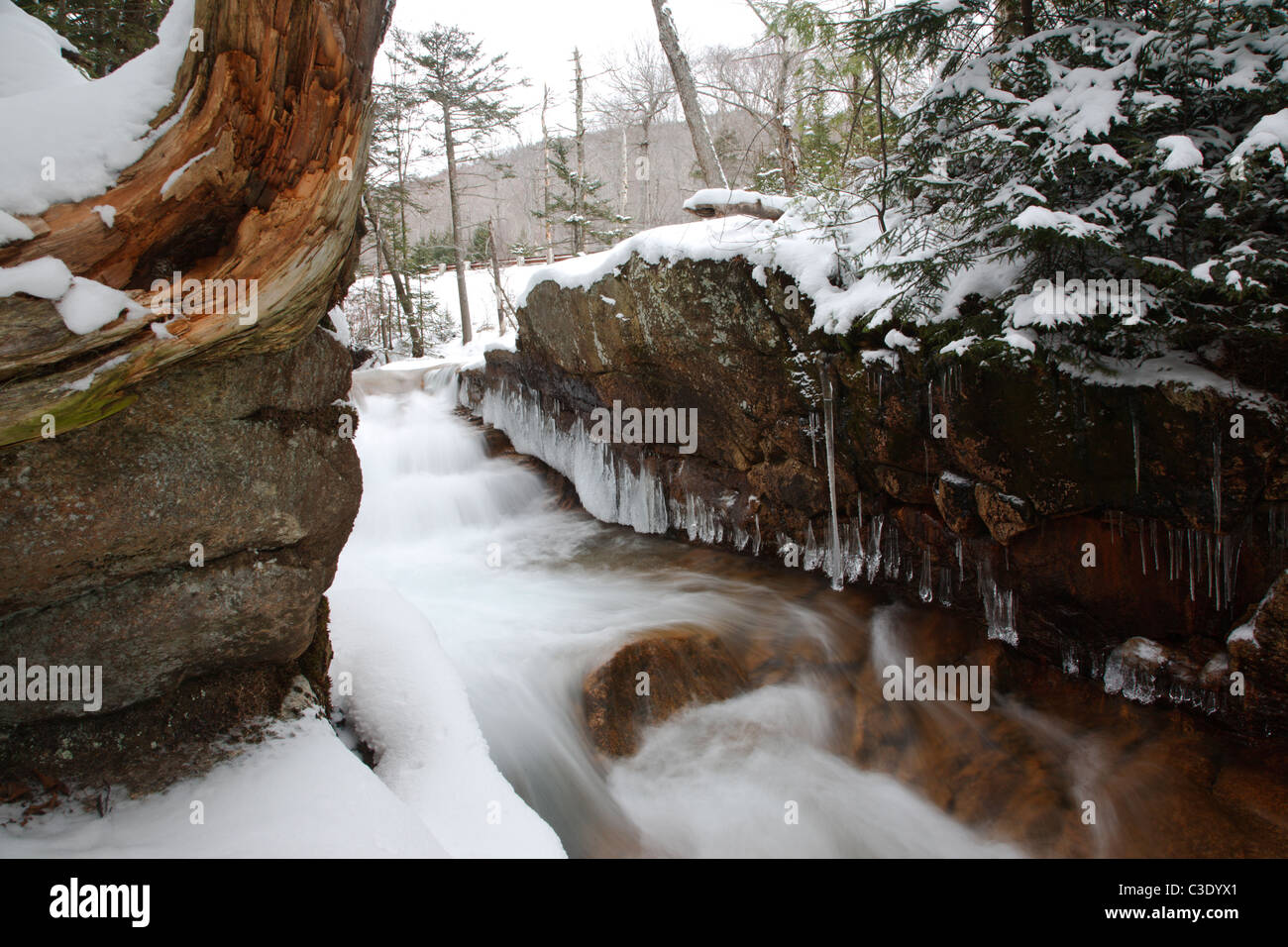 Franconia Notch State Park in den White Mountains, New Hampshire Stockfoto