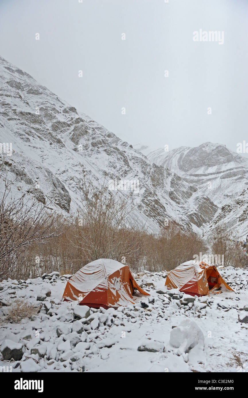 Großer Höhe trekking Camp in Hemis-Nationalpark, Travel, Indien Stockfoto