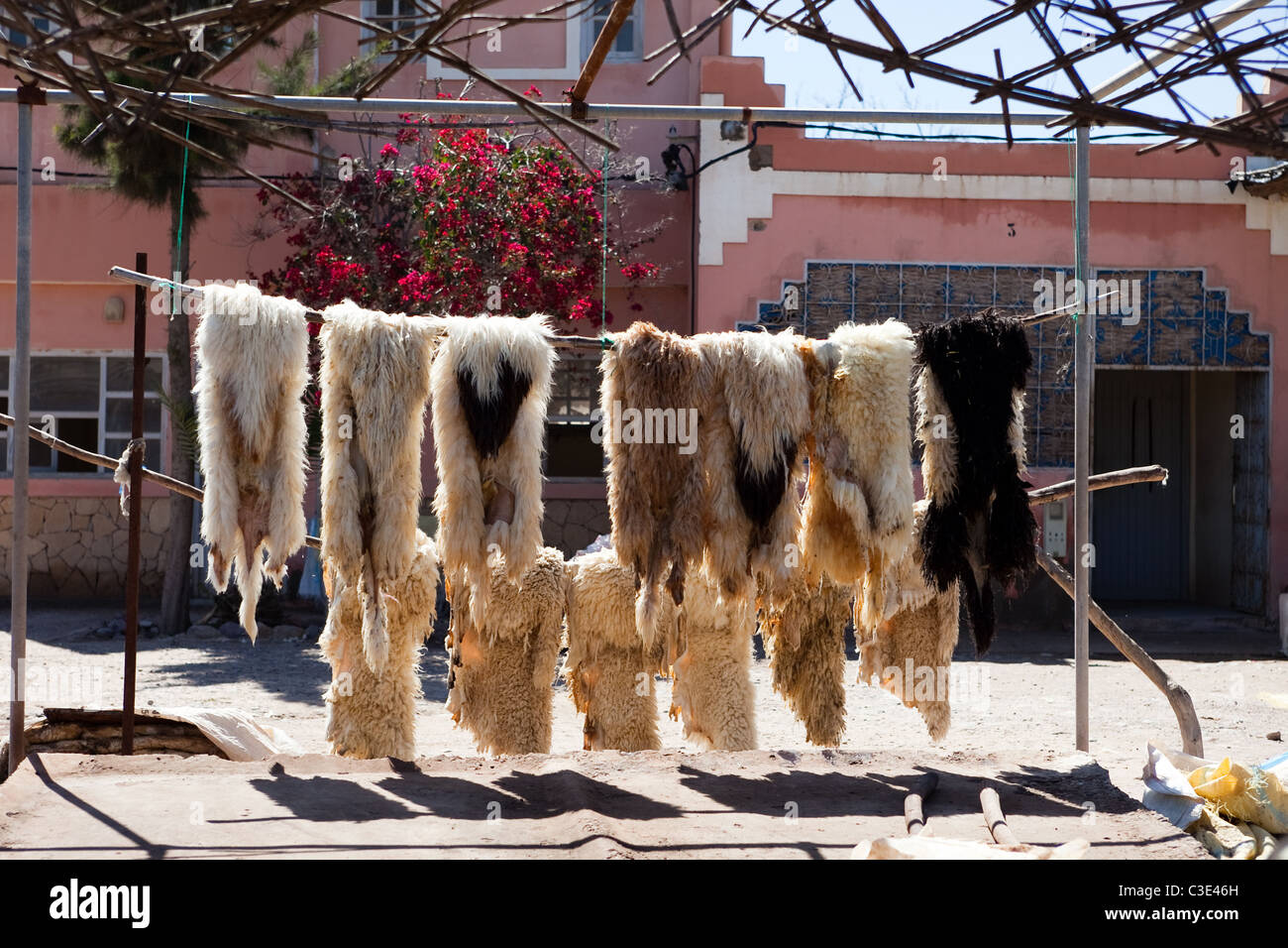 Gerberei, Walled Stadt von Taroudant, Sous-Tal, hoher Atlas, Marokko Stockfoto