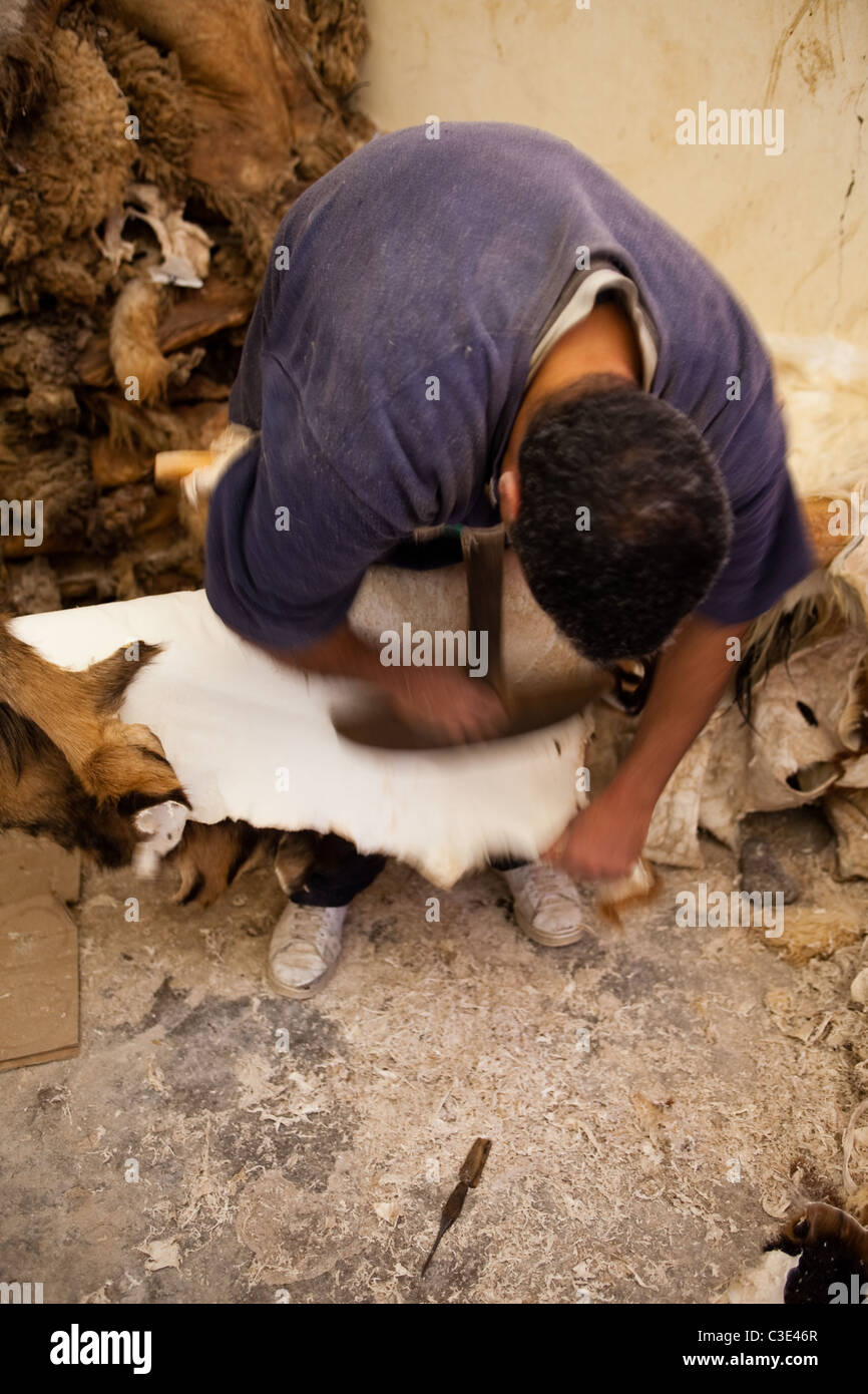 Gerberei, Walled Stadt von Taroudant, Sous-Tal, hoher Atlas, Marokko Stockfoto