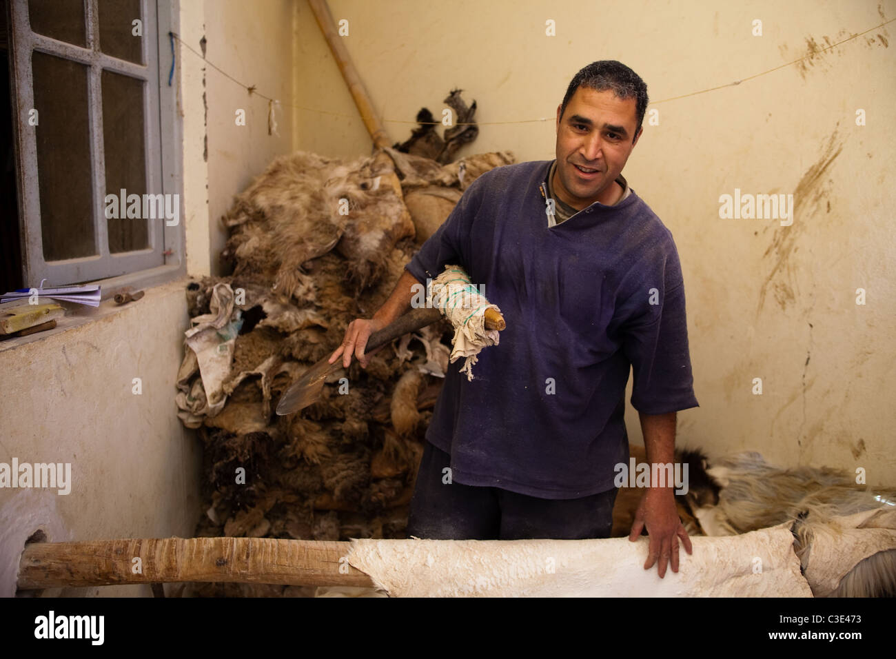 Gerberei, Walled Stadt von Taroudant, Sous-Tal, hoher Atlas, Marokko Stockfoto