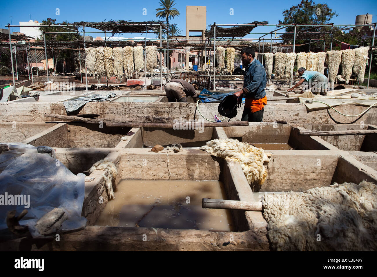Gerberei, Walled Stadt von Taroudant, Sous-Tal, hoher Atlas, Marokko Stockfoto