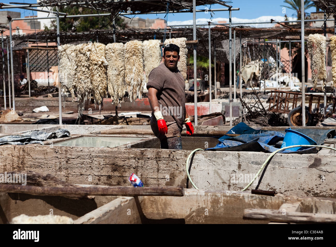 Gerberei, Walled Stadt von Taroudant, Sous-Tal, hoher Atlas, Marokko Stockfoto