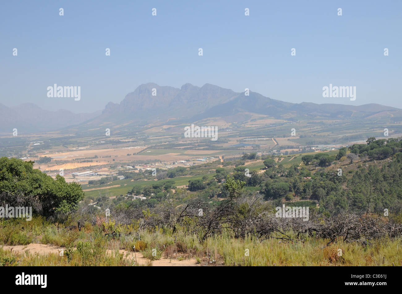 Paarl, Gebiete um Paarl, Paarl District, Western Cape, Südafrika Stockfoto