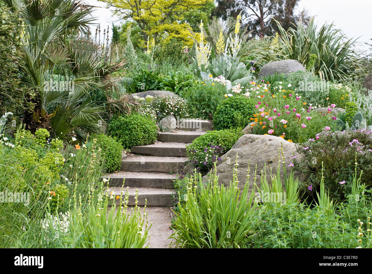Blick auf den Garten - Schritte. Englische Steingarten. Stockfoto