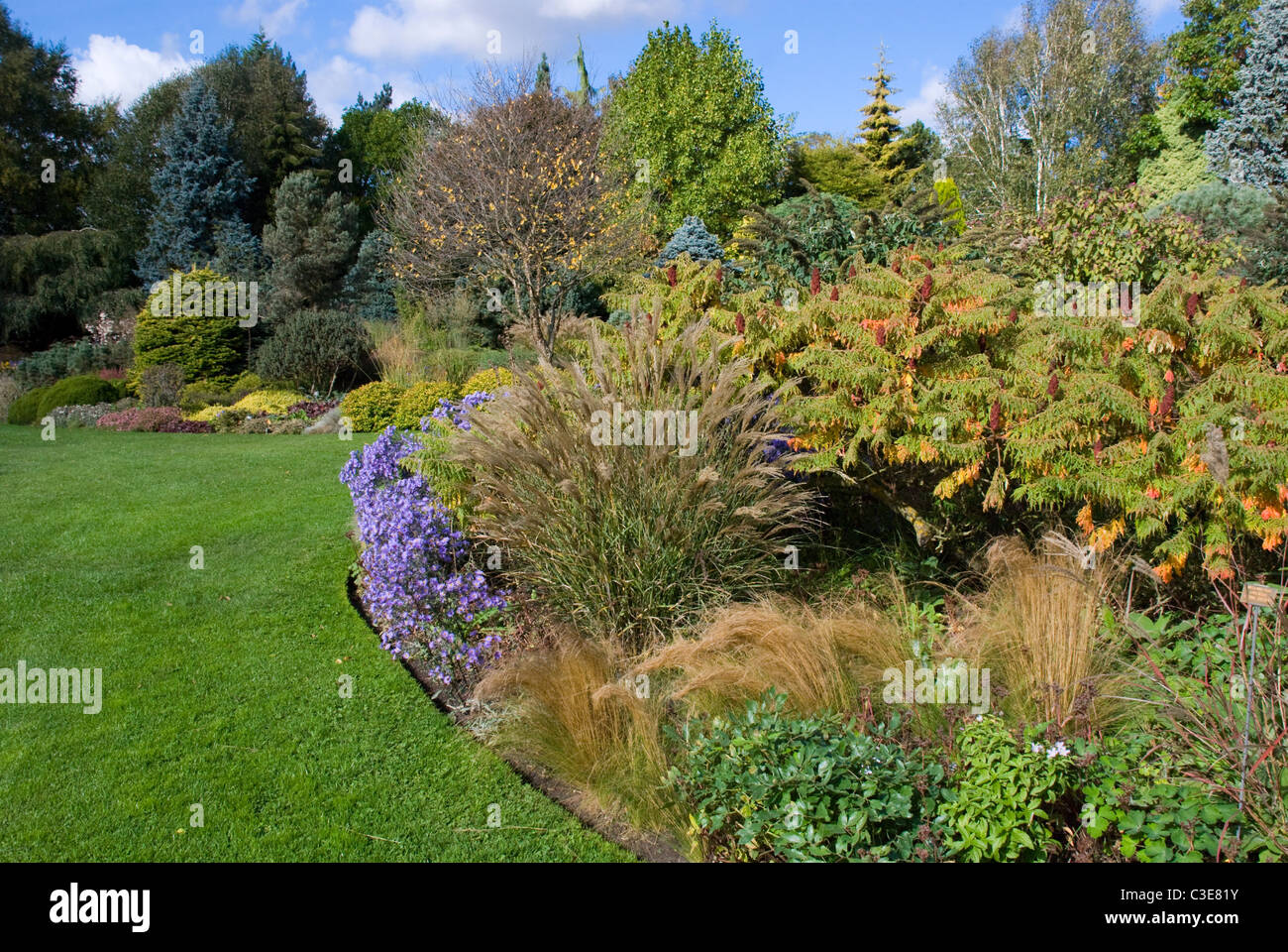 Blick auf den englischen Garten im September Stockfoto