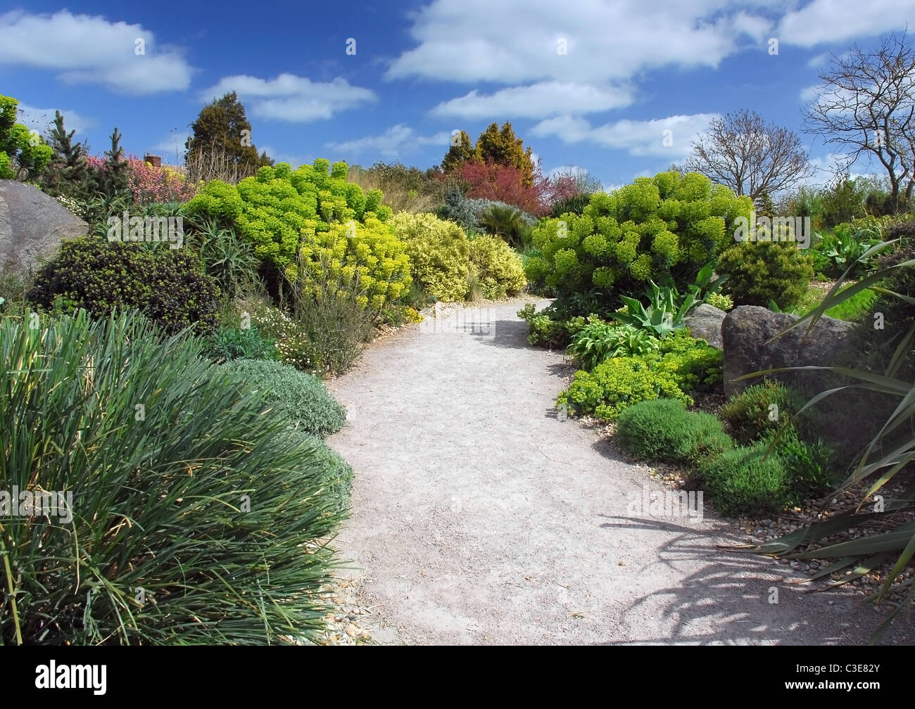 Gartenweg, Steingarten, Frühling, Wolken am Himmel. Stockfoto