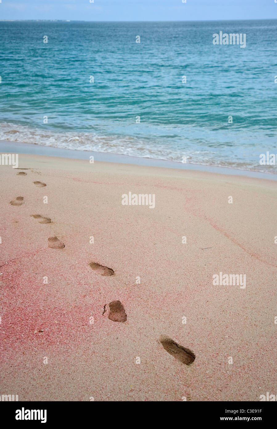 Barbuda Pink sands Stockfoto
