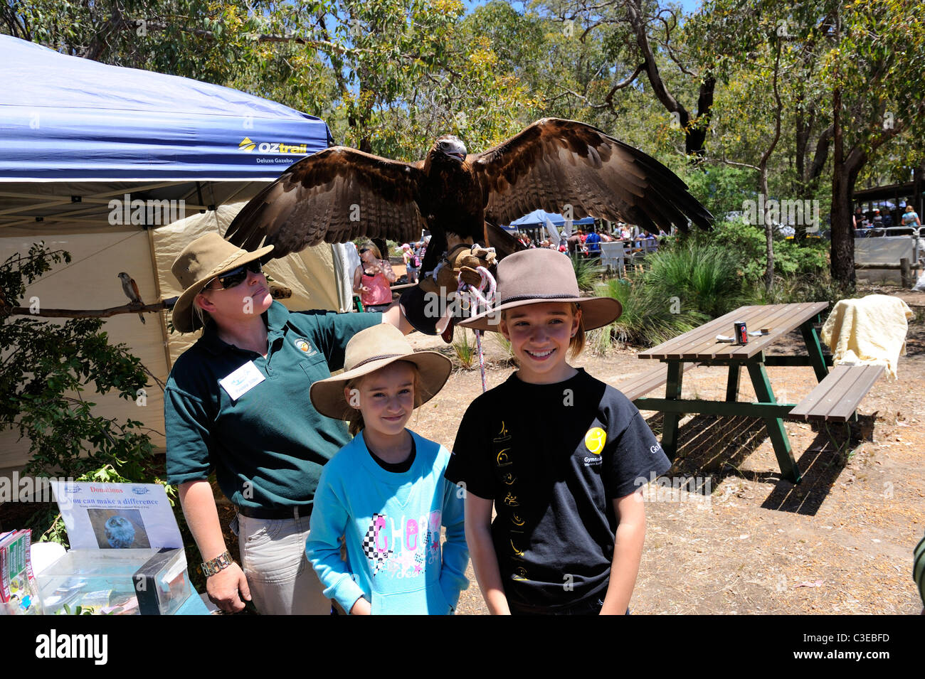 zwei Kinder (9 Jahre alt, 12 Jahre alt) mit einem jungen Wedge-tailed Eagle (Aquila Audax) ihre Flügel ausbreitet. Western Australia, Australia Stockfoto