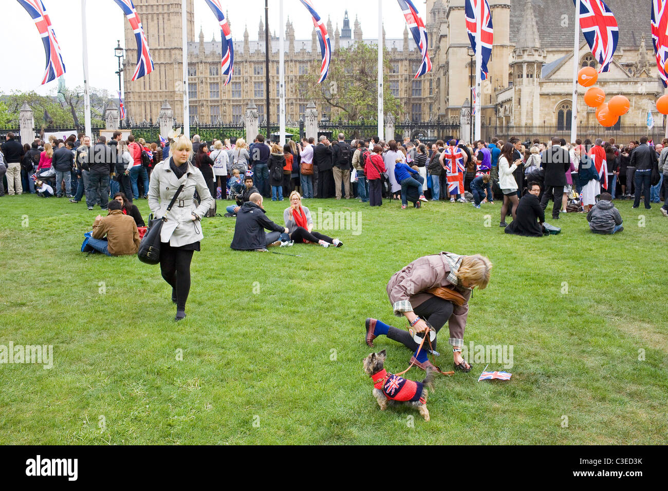 Eine Frau greift nach ihrem Hund einen Poo in Parliament Square am Tag der Hochzeit zwischen William & Kate getan hat. Stockfoto