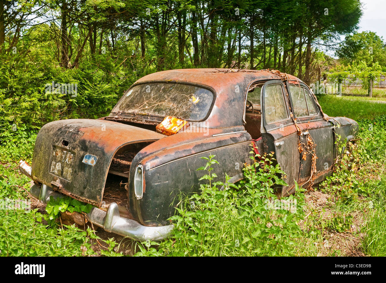 Verlassene 1960er Jahre Französisch Peugeot 403 4-türige Familie Limousine. Stockfoto