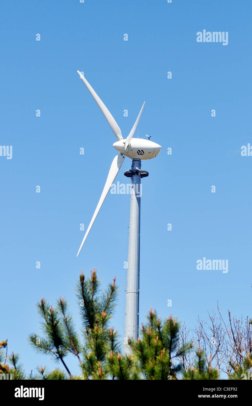 Windturbine durch Bäume an einem sonnigen blauen Himmel Tag Stockfoto