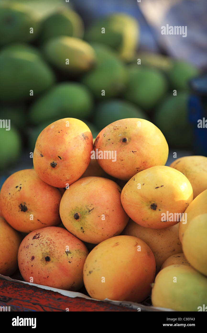 Mangos auf dem Markt in Andhra Pradesh in Indien Stockfoto