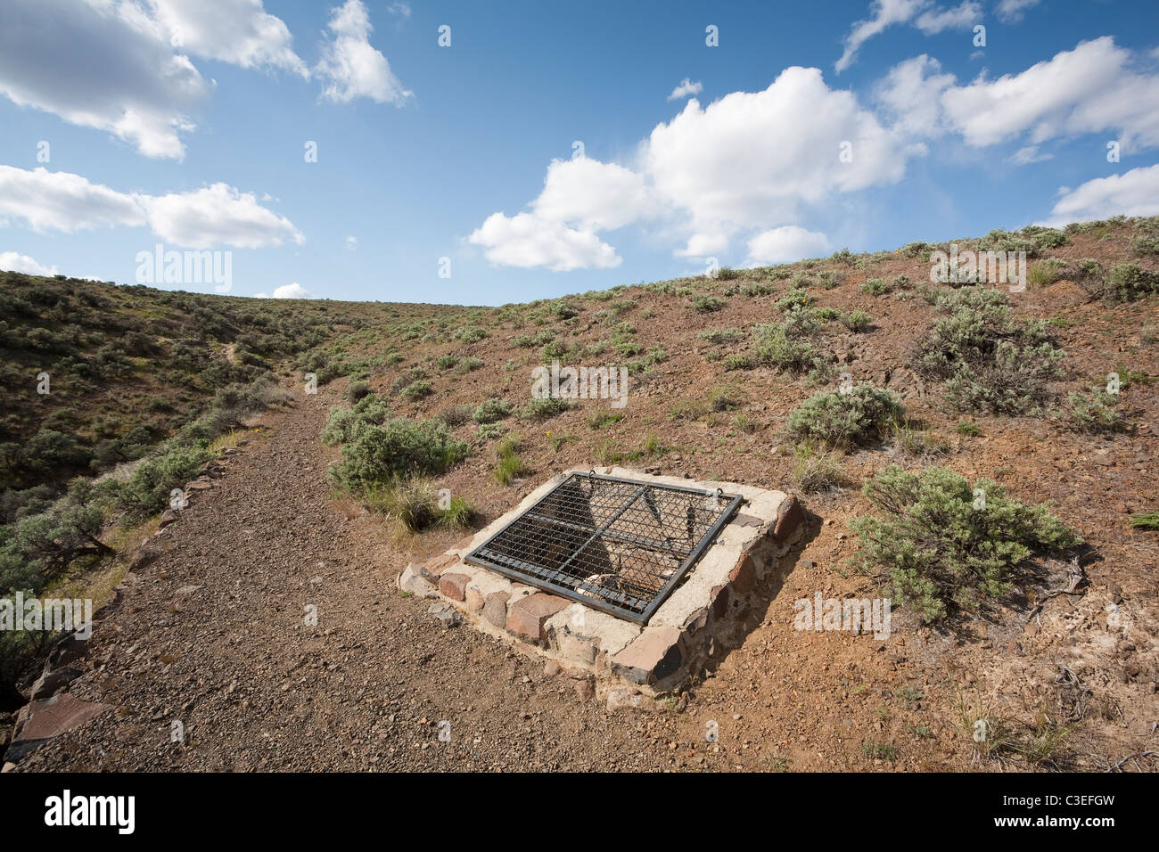 Versteinertes Holz auf Ausstellung im Ginkgo Petrified Forest State Park, Kittitas County, Washington Stockfoto