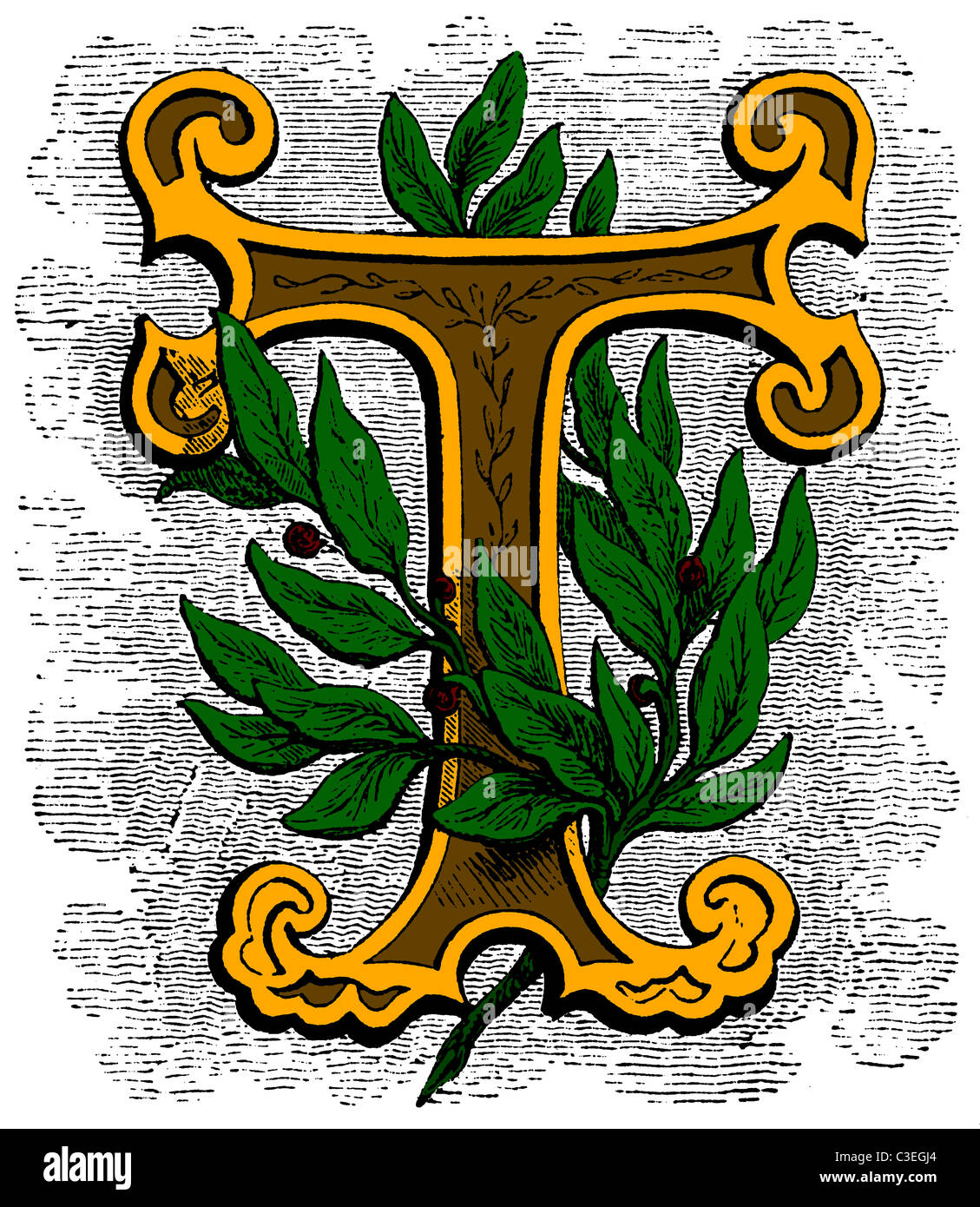 Viktorianische Holz graviert floral dekorativer Anfangsbuchstabe T für eine Initiale (Drop Hauptstadt), Blätter und Farben. Original aus dem Jahr 1845 Stockfoto