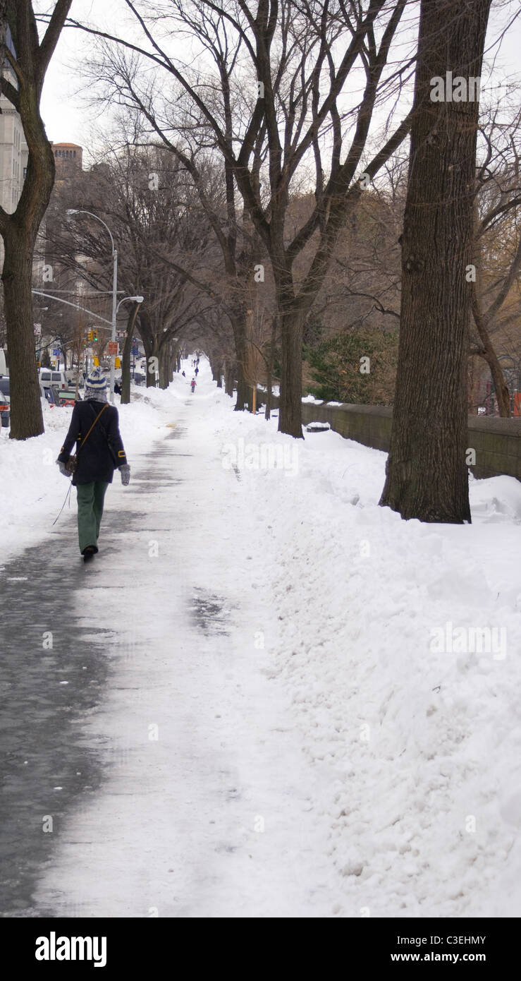 Gefrorene park Stockfoto