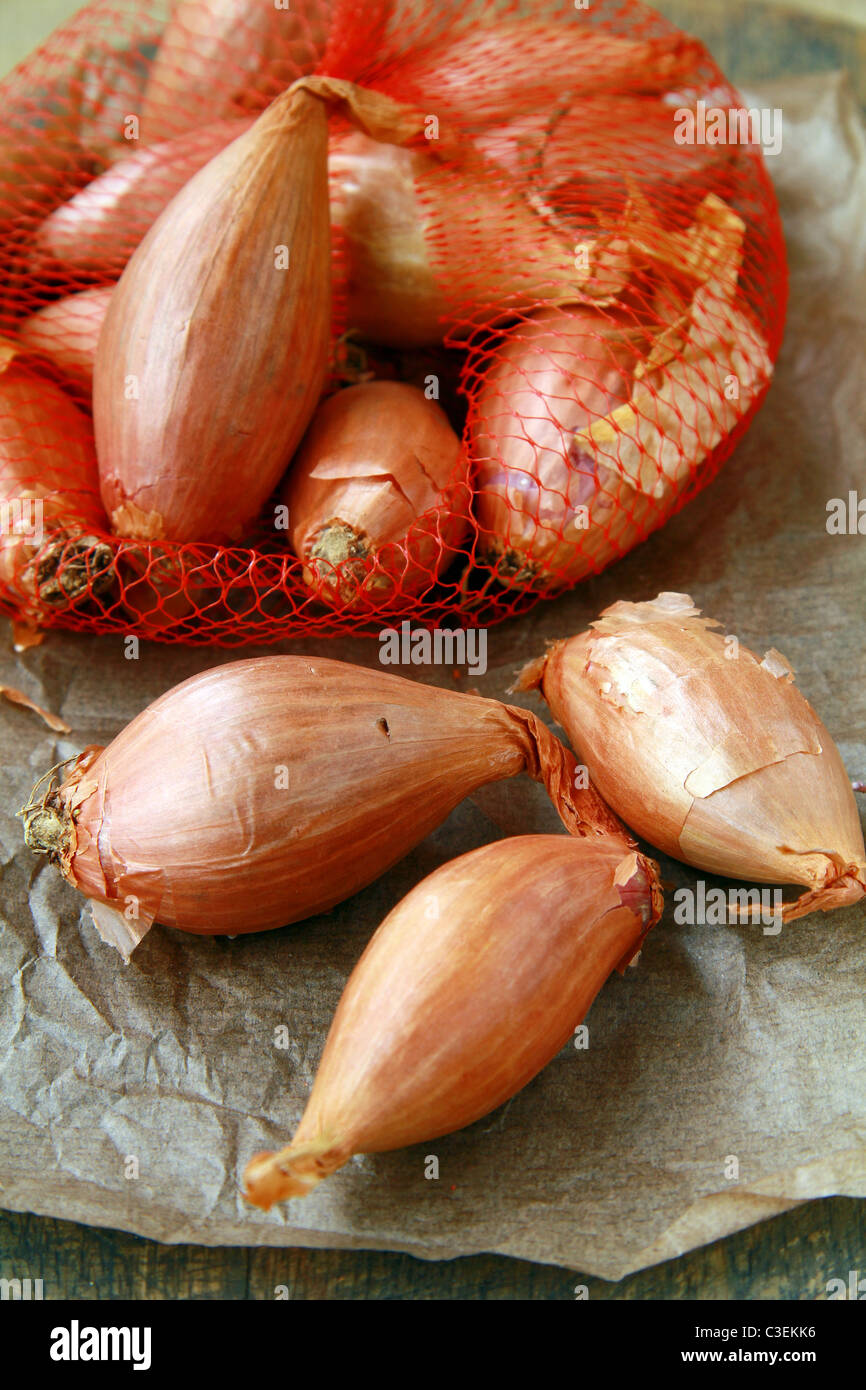 Elite-Klasse Zwiebel Schalotten auf einem hölzernen Hintergrund Stockfoto