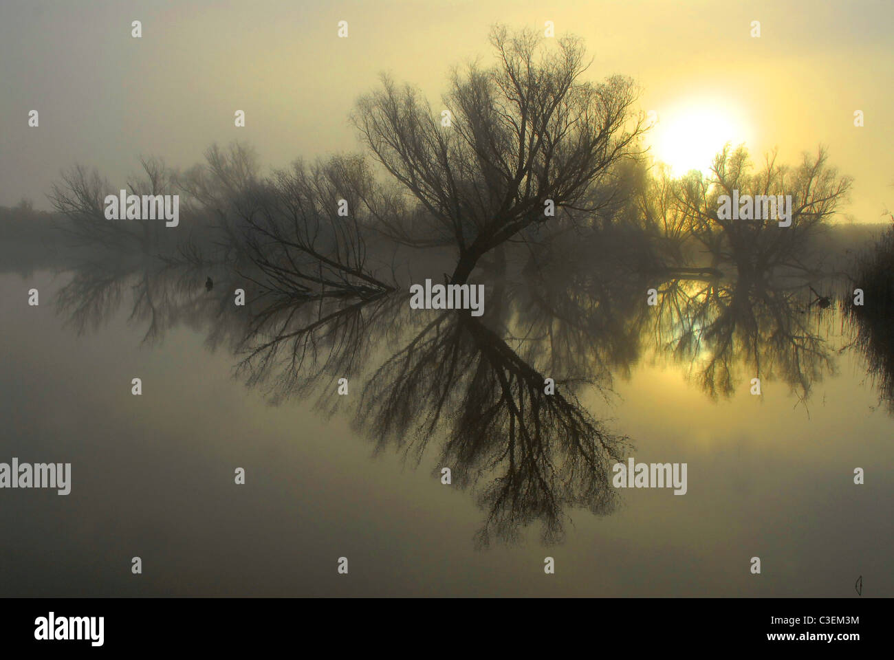 Südafrikanischen Landschaften gehören Wüste, Grasland, Buschland und Berge. Spiegelreflexionen von Weiden in Gariep river Stockfoto