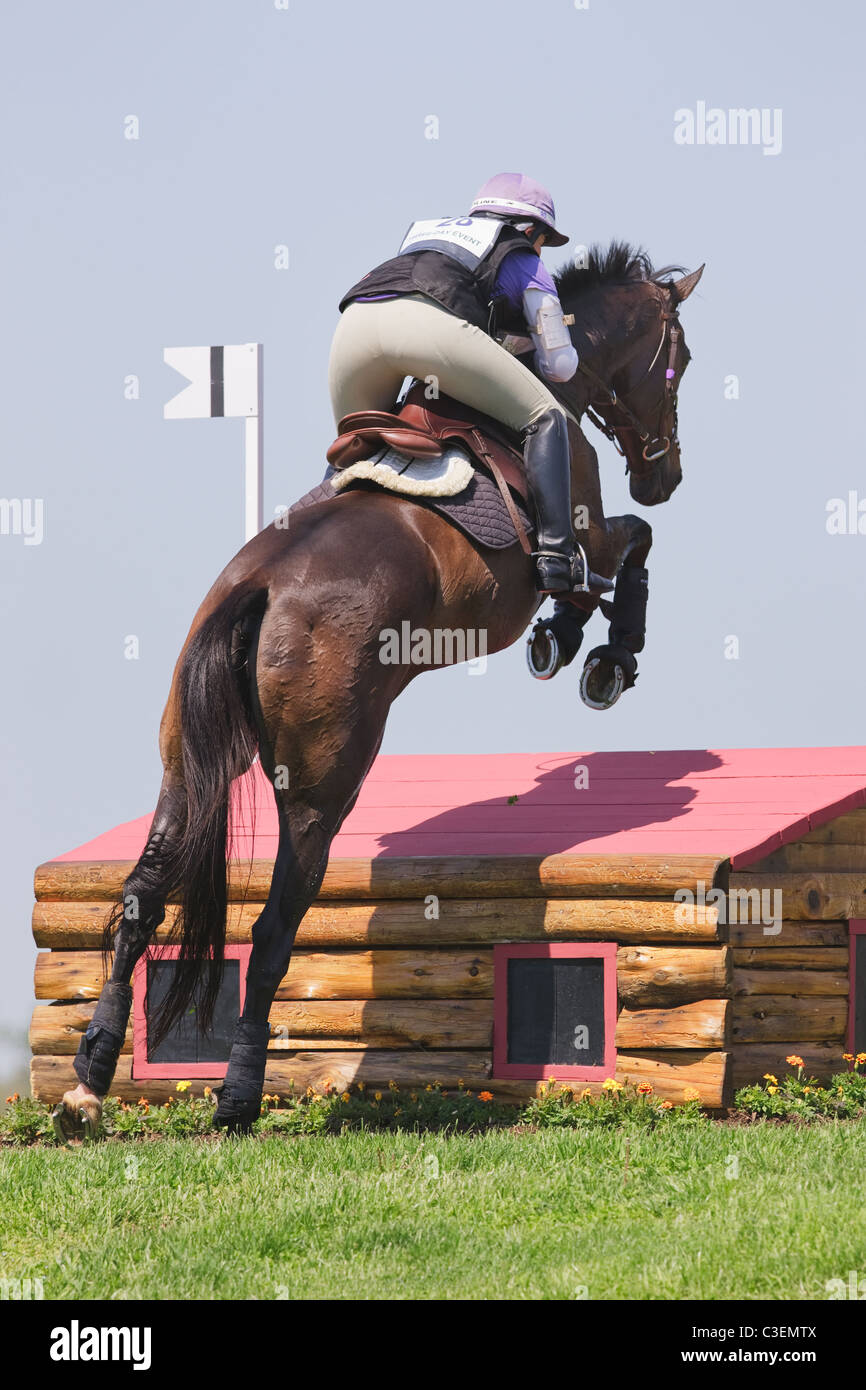 Pferd und Reiter im Wettbewerb mit der Rolex dreitägigen Eventing Konkurrenz in Lexington, Kentucky. Stockfoto