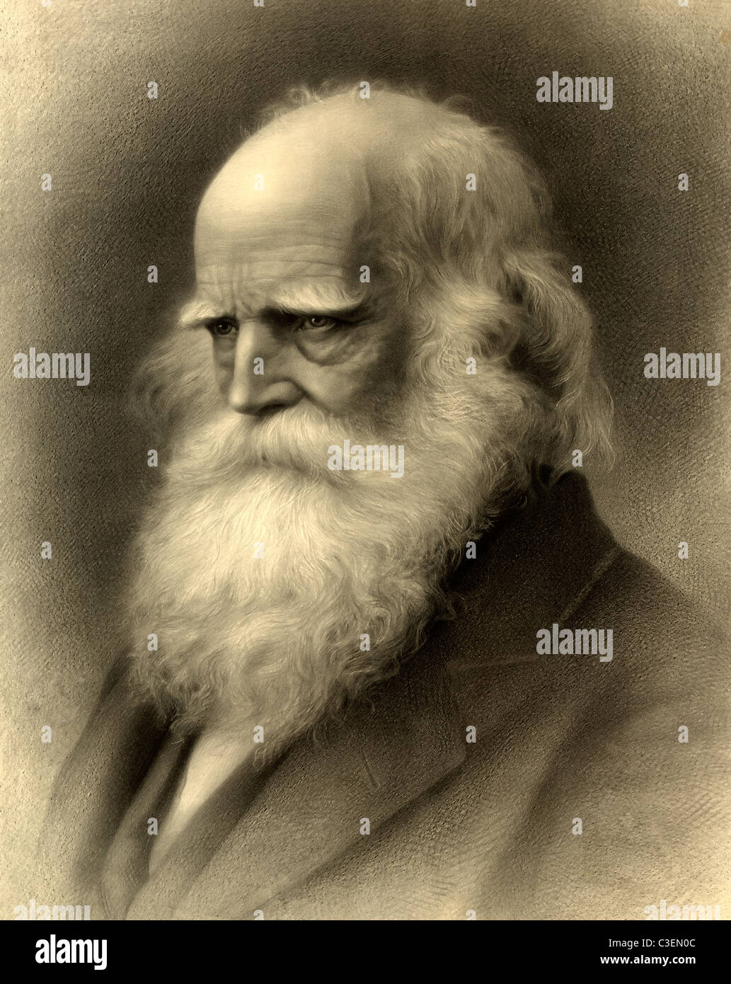 William Cullen Bryant - romantische Dichter, Journalist und langjähriger Herausgeber der the Saturday Evening Post 1876 Stockfoto