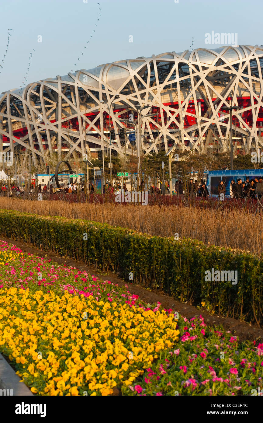 Vogels Nest Nationalstadion von Architekten Herzog und De Meuron, 2008 Olympic Green, Peking, China, Asien. Stockfoto