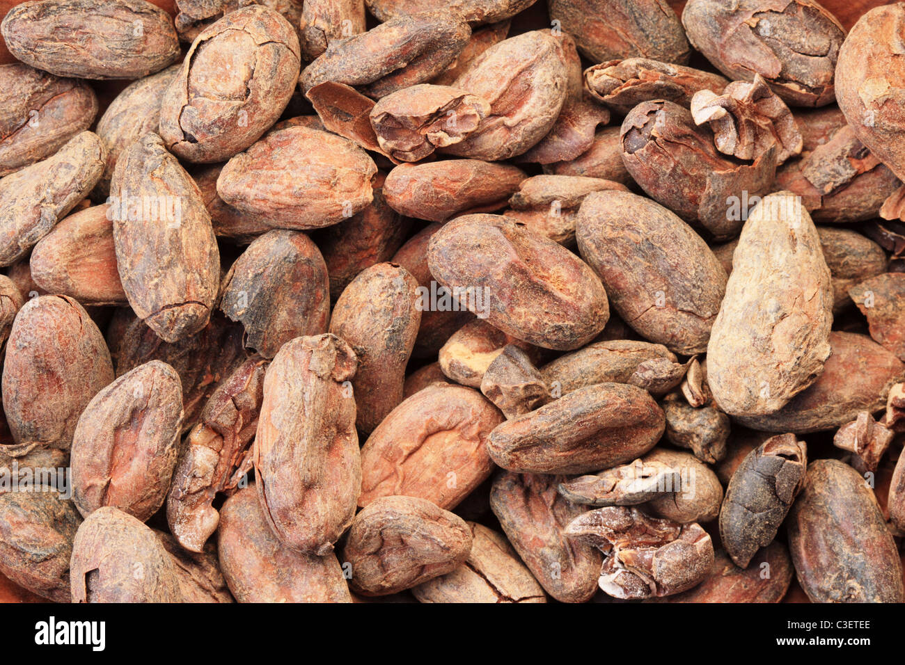 Hintergrundbild von Kakao oder Kakao-Bohnen Stockfoto