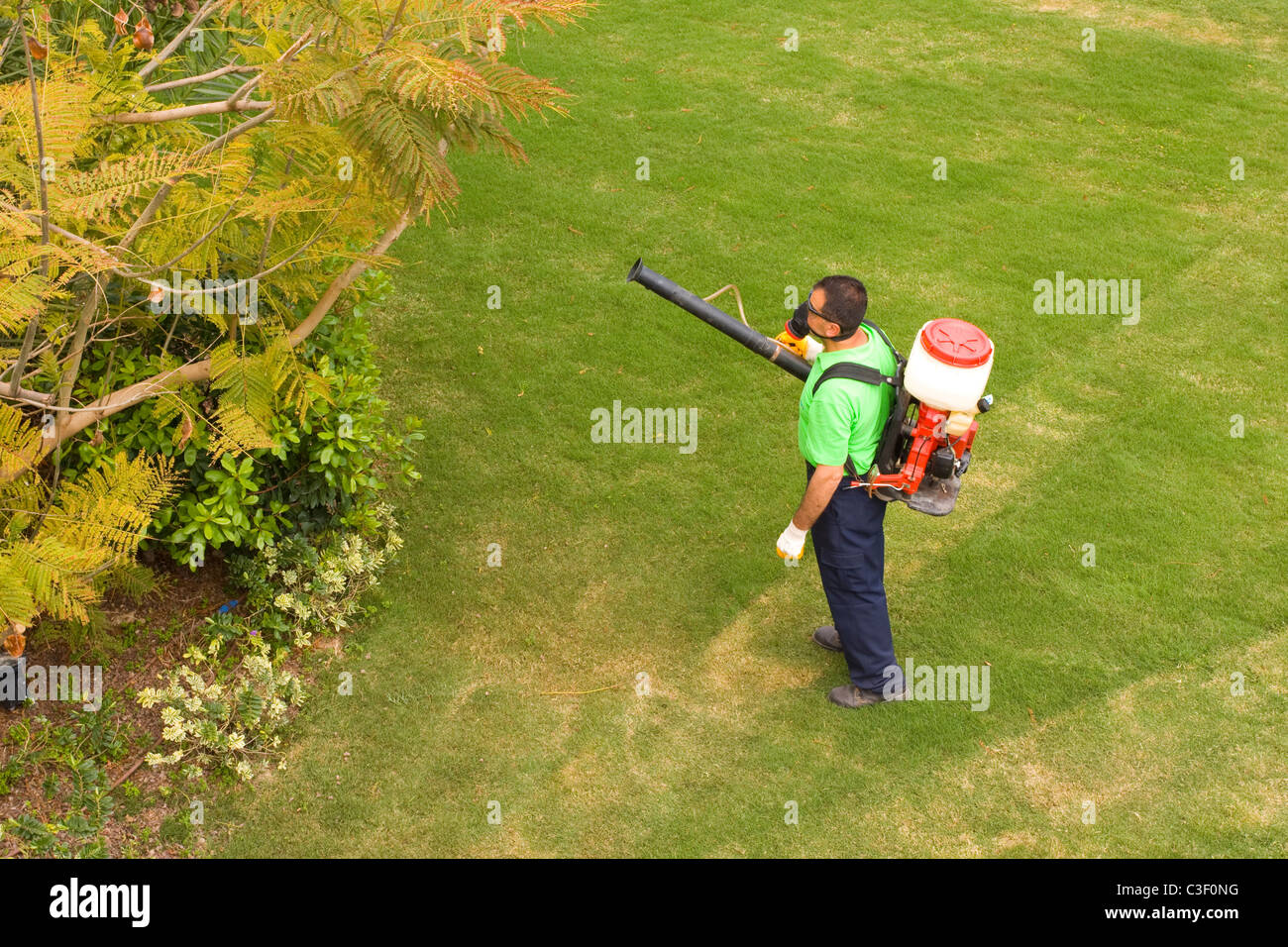 Ein Gärtner ist die Bäume Spritzen Stockfotografie - Alamy