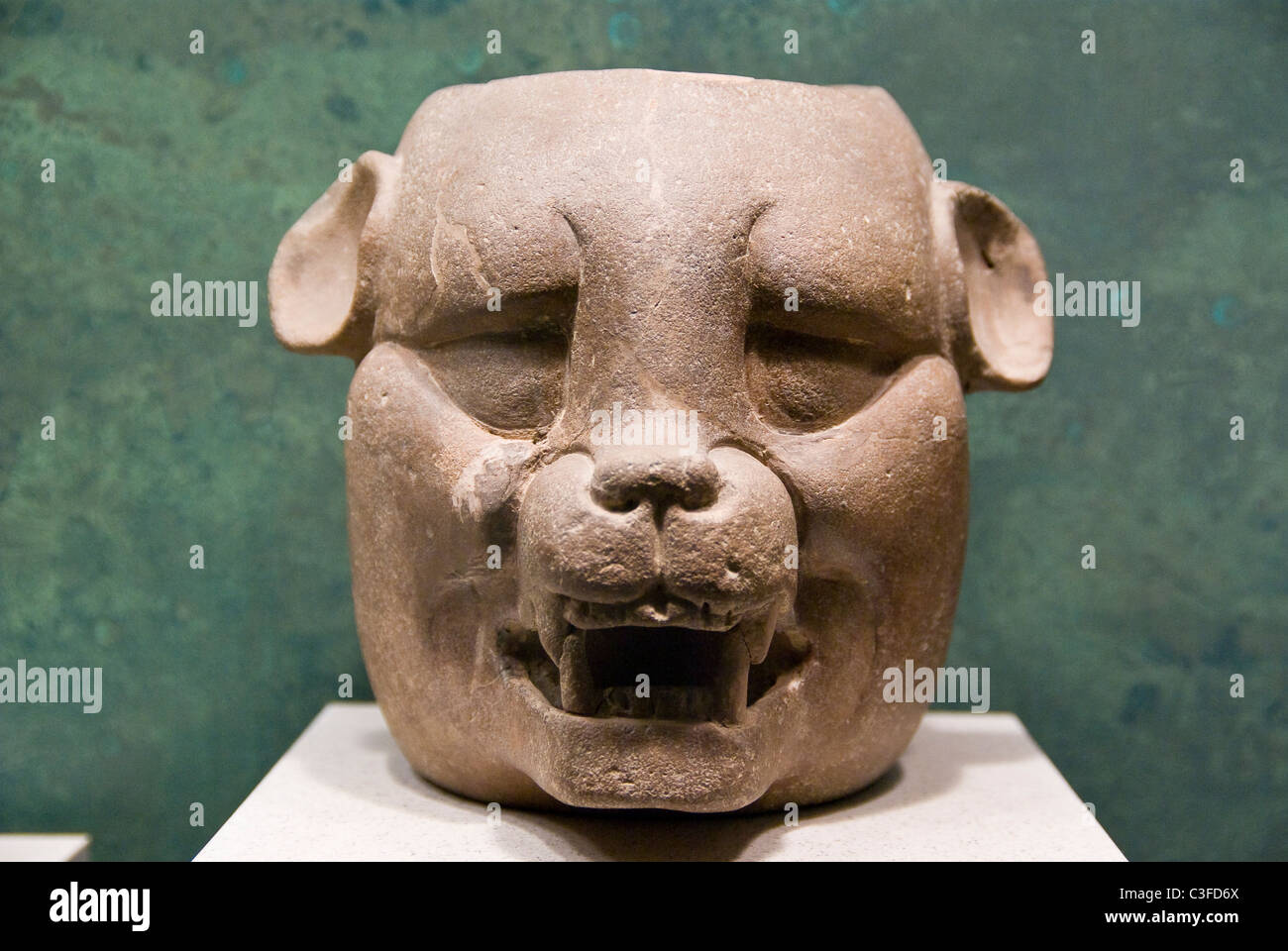 Mexiko-Stadt. Nationales Museum der Anthropology.Maya Kultur. Kopf des Jaguars. Stockfoto