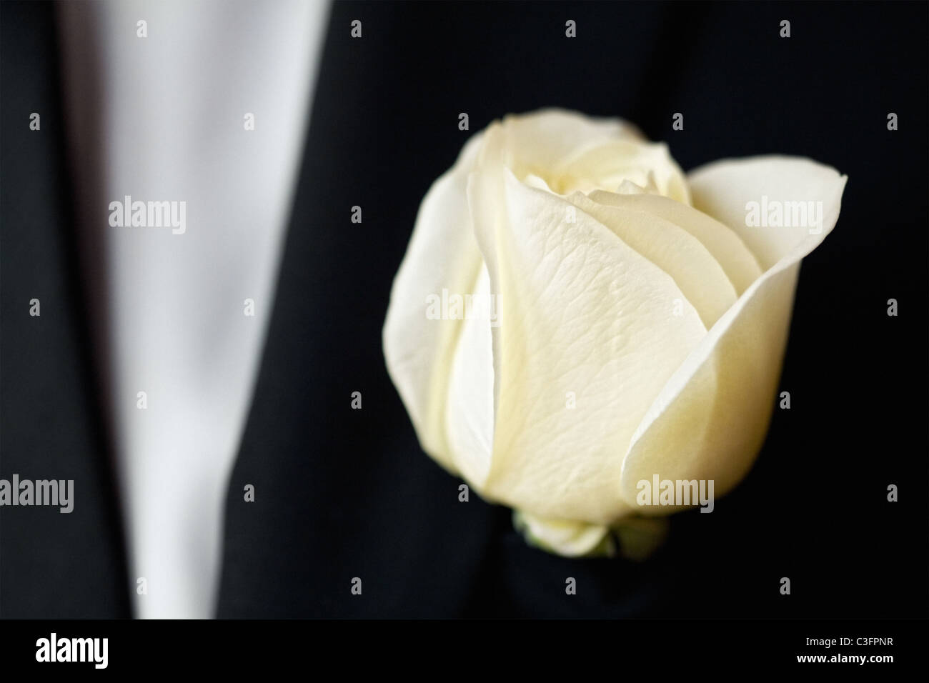 Weiße Rose auf dem Anzug des Bräutigams Stockfoto