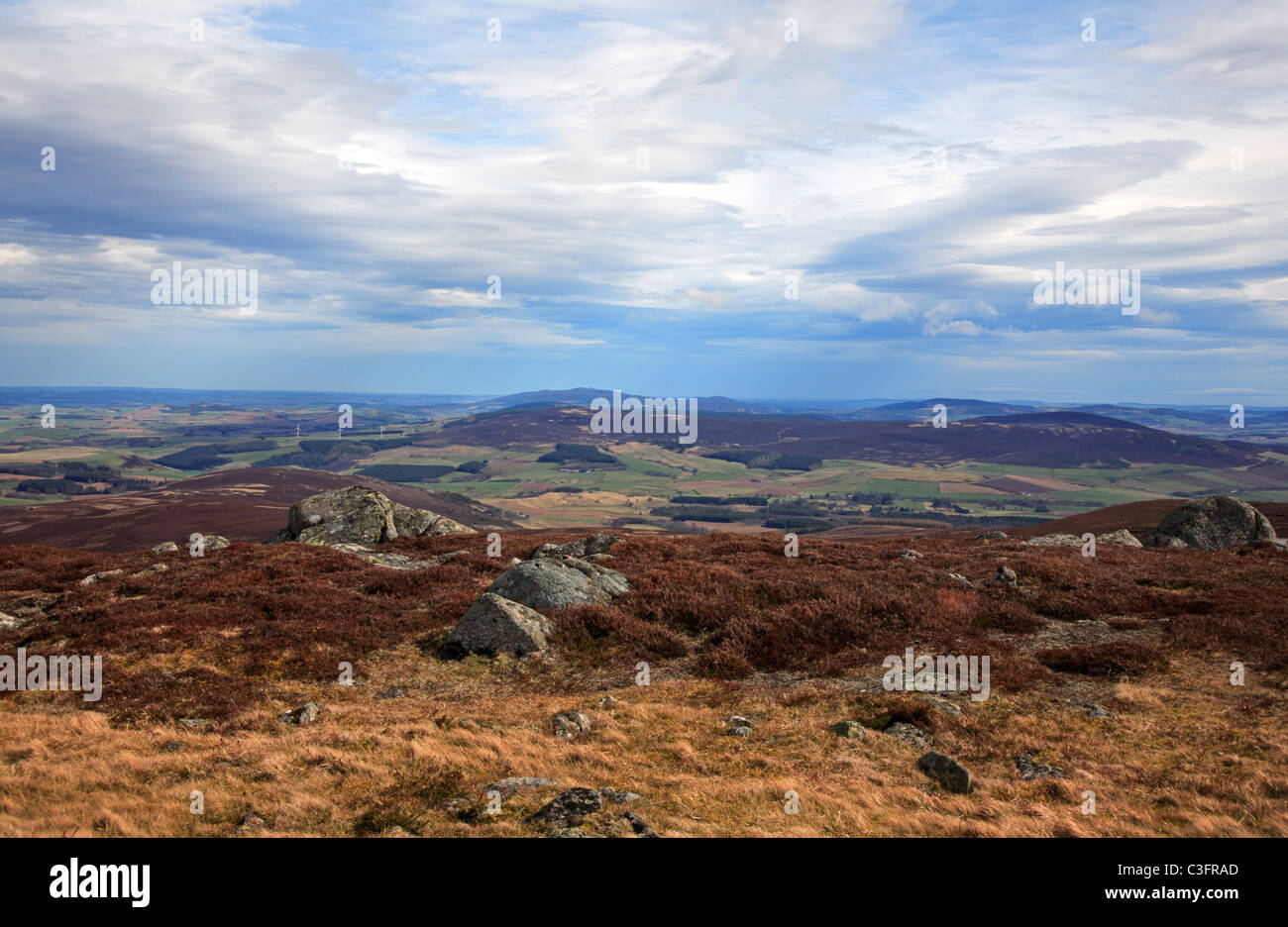 Blick auf den Correen Hügeln vom Gipfel des The Buck Cabrach in der Nähe von Lumsden, Aberdeenshire, Schottland, Vereinigtes Königreich. Stockfoto